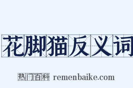 花脚猫反义词是什么意思的图片